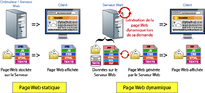 Statique vs. dynamique