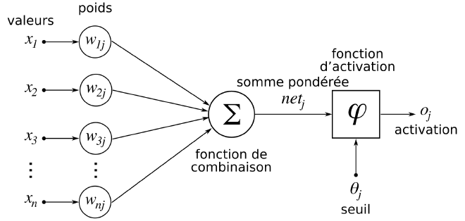 ANN structure